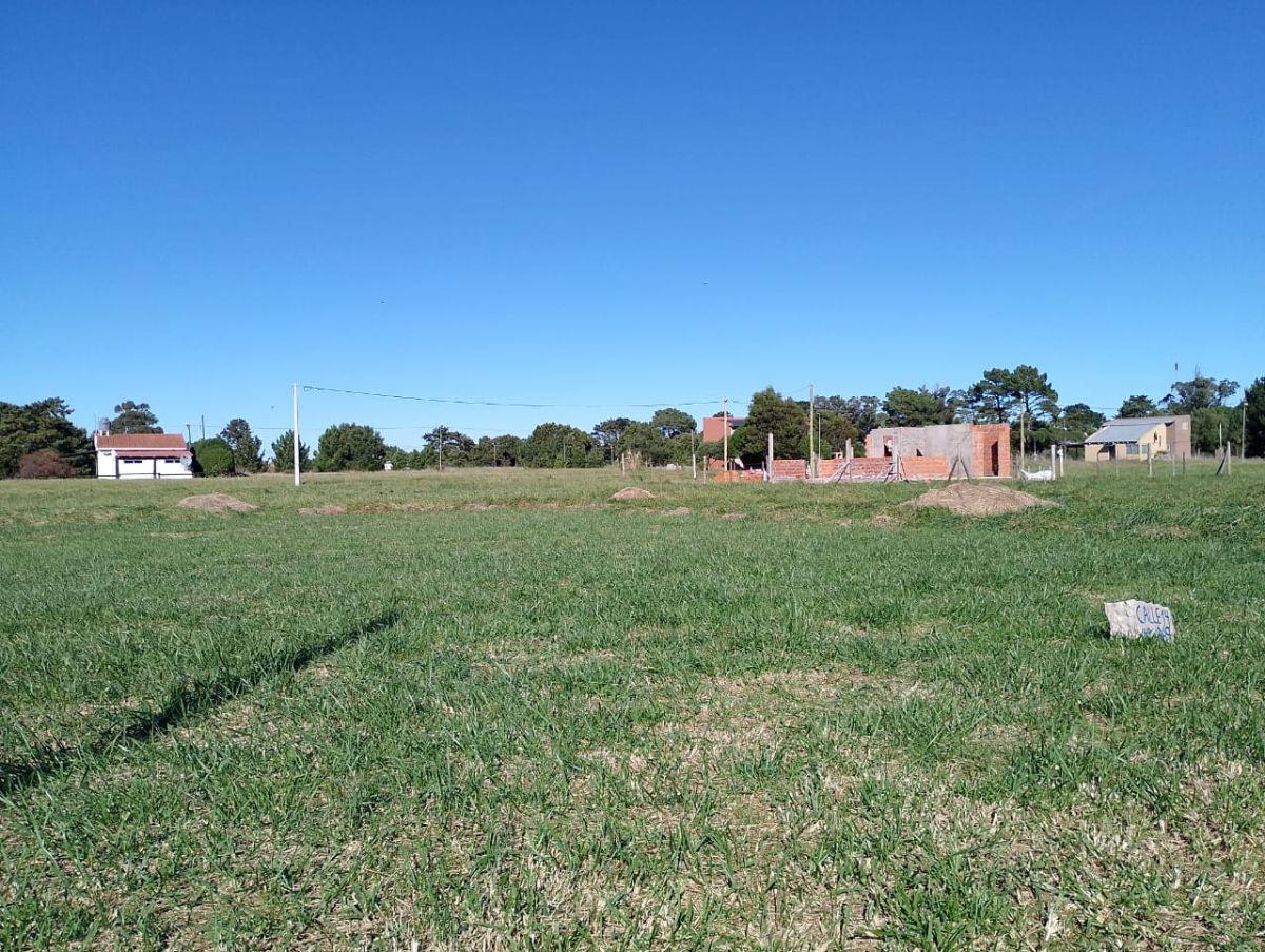 Terreno en venta en Calle 29, Mar del Plata — foto 3 de 8