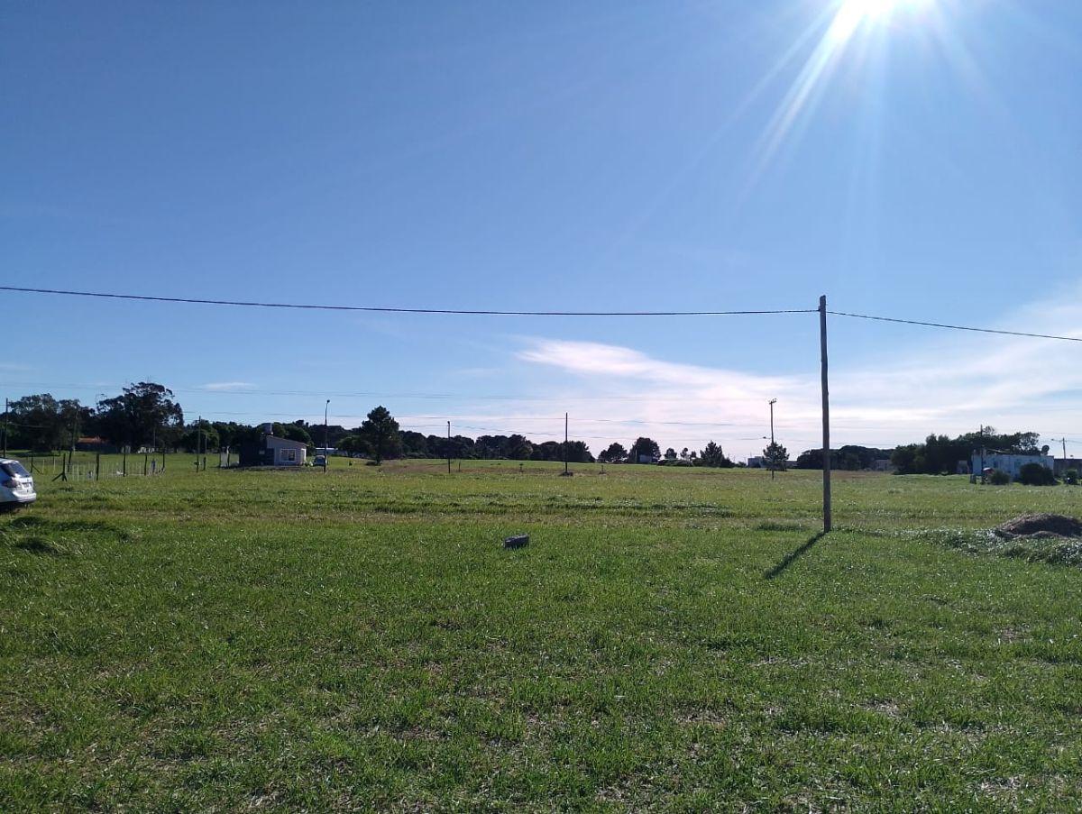 Terreno en venta en Calle 29, Mar del Plata — foto 4 de 8