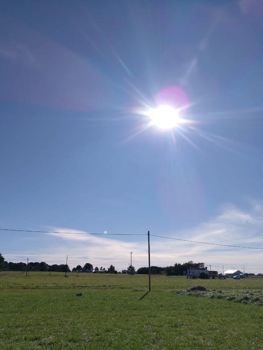 Terreno en venta en Calle 29, Mar del Plata — foto 5 de 8
